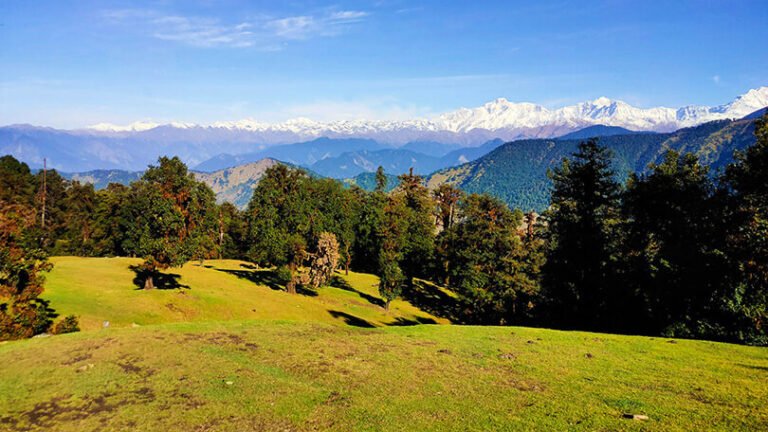 Landscape view of Chopta Uttarakhand, alpine meadows and snow capped mountain
