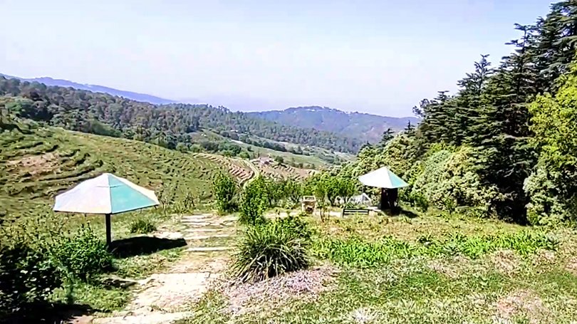 Fruit orchards and flower gardens in Chaubatia, Ranikhet – best things to do in Ranikhet for scenic walks and fresh air