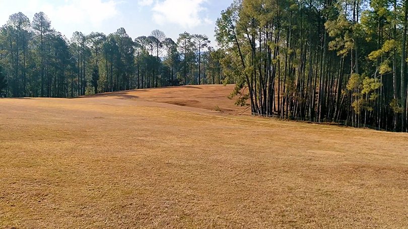 “Green fairways and deodar trees at Upat Golf Course, Ranikhet – best things to do in Ranikhet for golf lovers and nature walks”