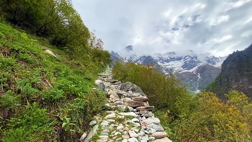 Trek to Valley of Flowers National Park 