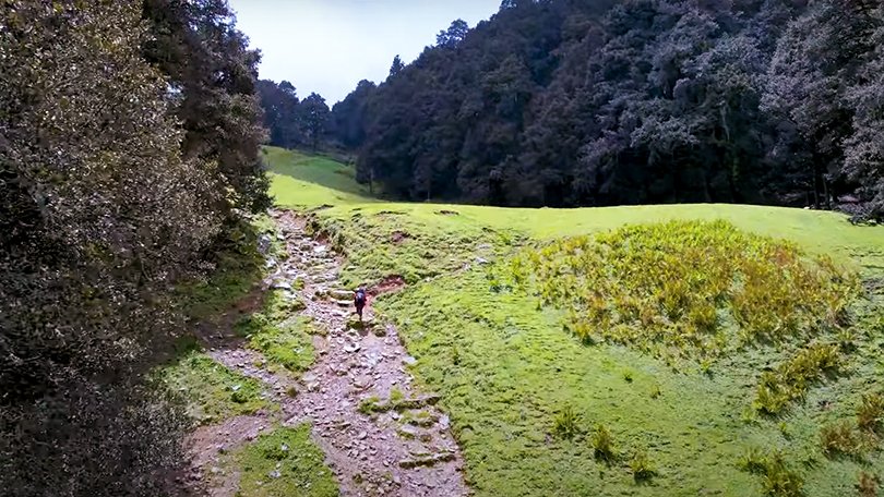 Lush green expanse of Gorson Bugyal alpine meadow with panoramic mountain views, a popular spot in Auli Uttarakhand