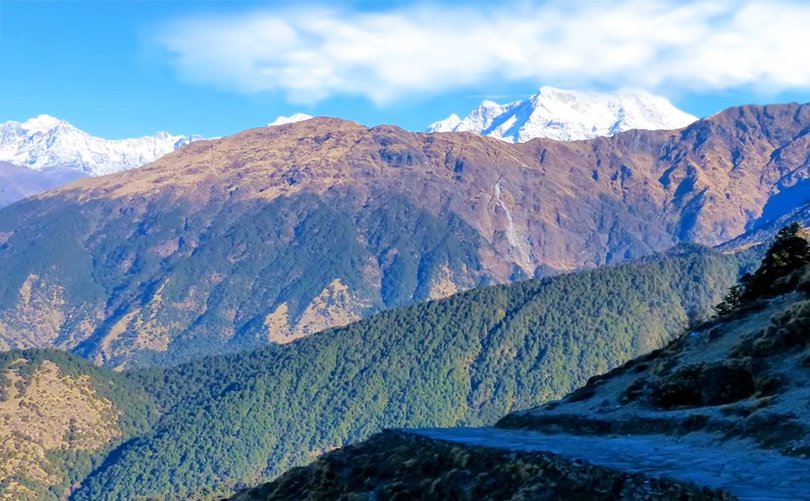Trail leading to Kwani Bugyal, surrounded by majestic Himalayan peaks, one of the Best Places to Visit in Auli for trekkers.