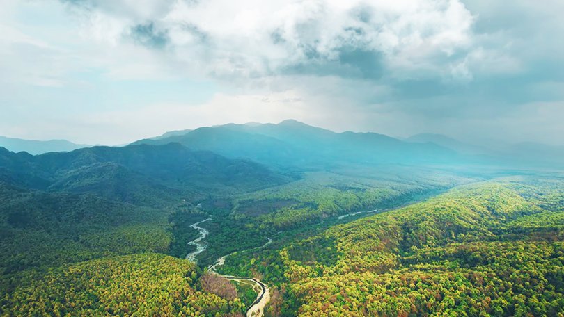 Beautiful landscape view representing the natural beauty and wildlife diversity of Jim Corbett National Park