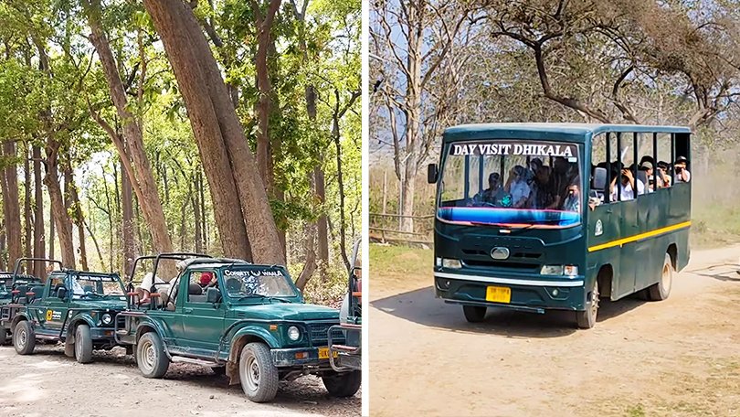 Jeep safari and canter safari experience in Jim Corbett National Park with a guide and tourists