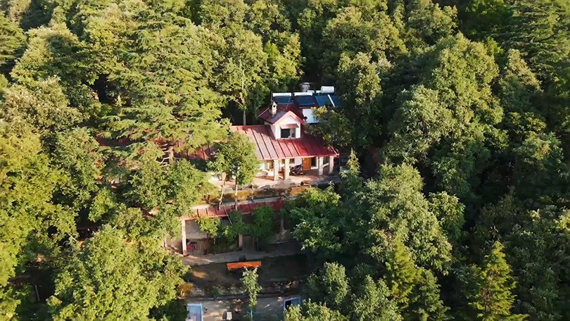 Mary Budden Estate heritage homestay in Binsar, surrounded by oak and rhododendron forests, offering colonial architecture and peaceful retreats.