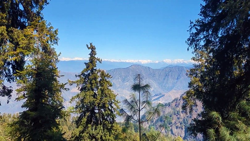 Dense deodar forest of Deoban in Chakrata with panoramic Himalayan views, a paradise for nature lovers and birdwatchers.