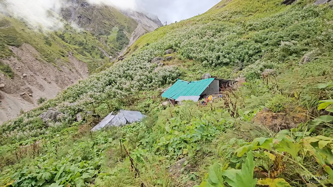 Scenic trail from Gangotri to Bhoj Kharak during Kedar Tal Trek Guide 2026, with trekkers walking along the Kedar Ganga River through birch forests.