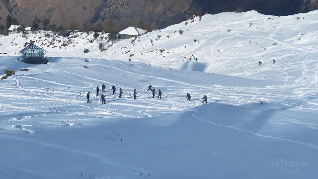 Auli winter landscape with snow-covered slopes, pine trees, and Himalayan peaks.