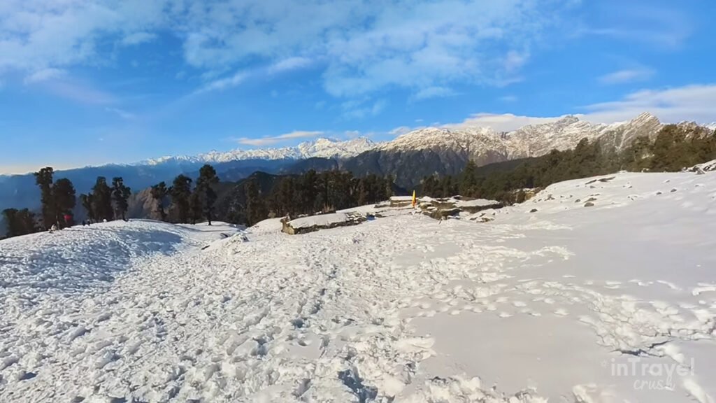 Snow-covered trail in Chopta leading toward Tungnath with pine forests and winter mountains.