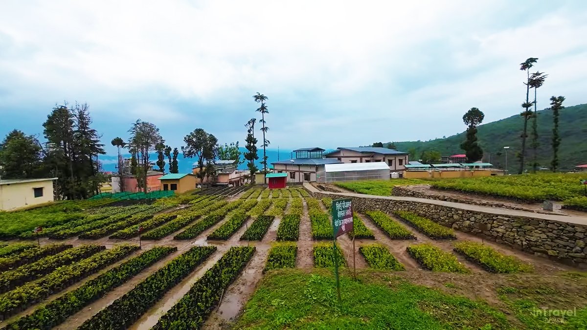 Khirsu Travel Guide – High Tech Nursery Khirsu featuring plant varieties, greenhouses, and scenic views.