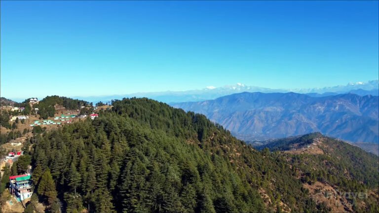 Dense forest with snow-covered Himalayan mountains in Kanatal during winter