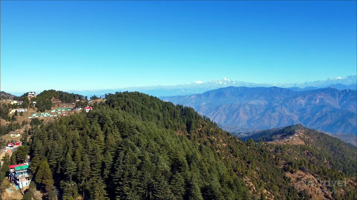 Dense forest with snow-covered Himalayan mountains in Kanatal during winter