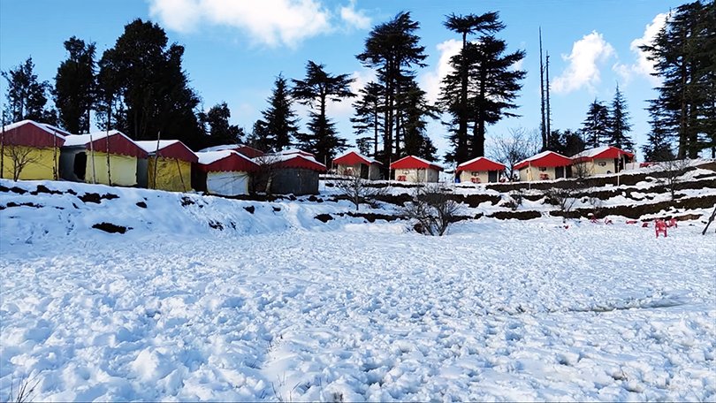 Snow-covered Kanatal hill station with pine trees and peaceful winter scenery.