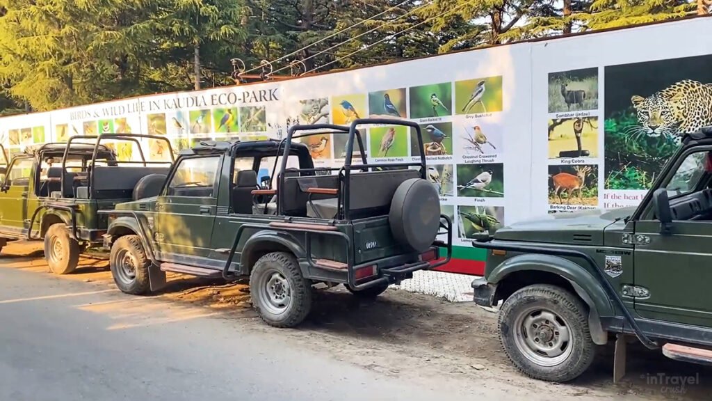 A jeep safari service for Kodia Jungle