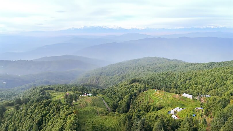 Zero Point viewpoint with forest trail and open Himalayan mountain views in Mukteshwar.